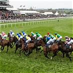best place to bet